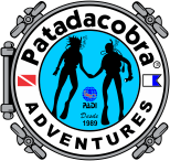 Logo Patadacobra Adventures