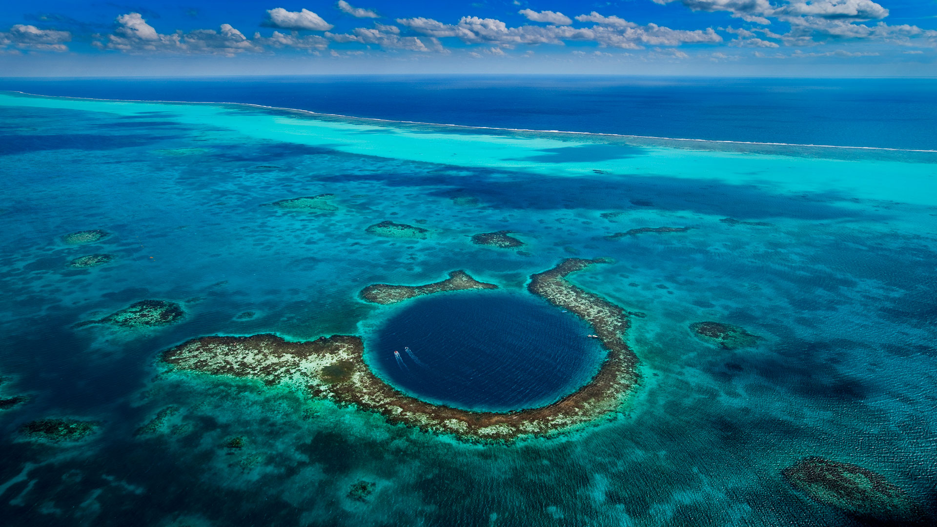 Patadacobra em Belize