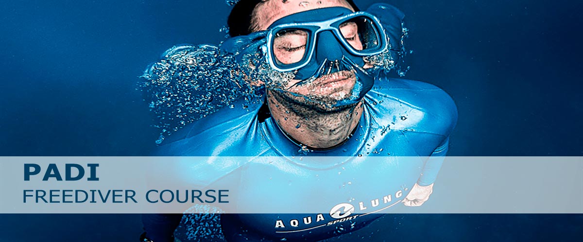 Banner curso freediver na Patadacobra