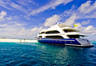 Patadacobra Mergulhando nas Maldivas