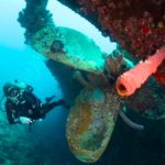 Patadacobra dive in Hilma Hooker 2