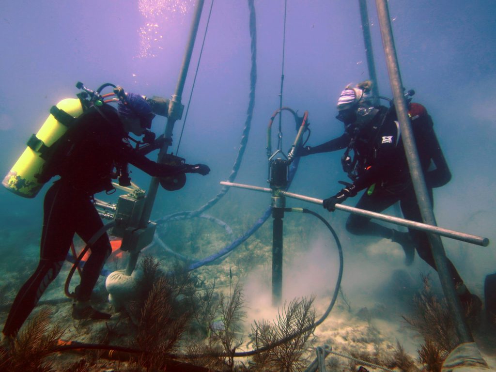 mergulhando na ciência do oceano