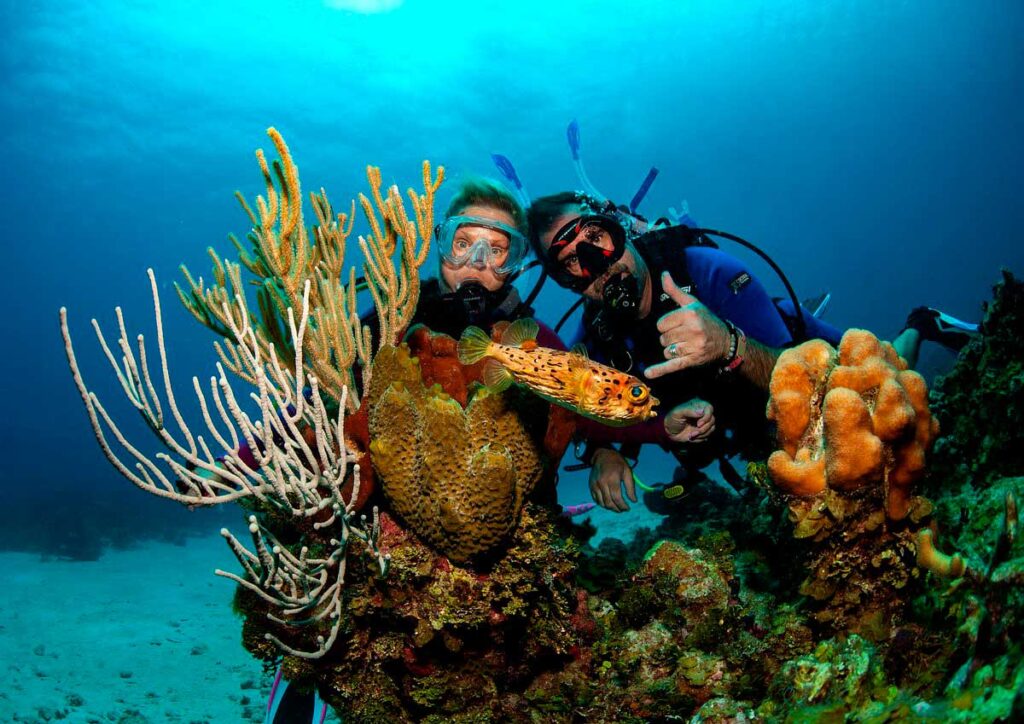 Mergulho na Jamaica com a Patadacobra Travel